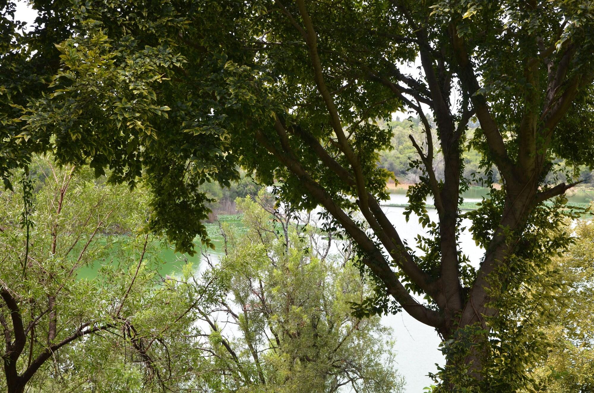 Premier Hotel Roodevalley Pretoria-Noord Exteriör bild